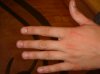 DSC03862.jpg