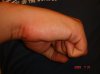 DSC03864.jpg