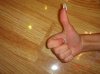 DSC03870.jpg