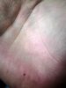 DSC00228.JPG