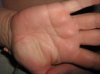 IMG_5205.jpg
