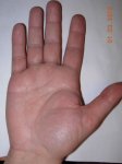 x_026674b0.jpg