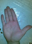 24022011_001.jpg