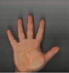 7878.jpg