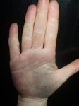 29.12.2011 031.jpg