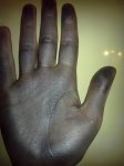11032011981.jpg