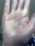 11032011983.jpg