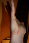 x_fc66483f.jpg