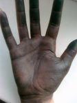 25042011101.jpg