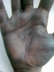 25042011099.jpg