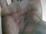 25042011102.jpg