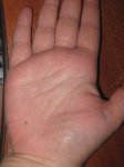 IMG_2281.jpg