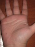 IMG_2283.jpg