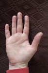 DSCF0507.jpg