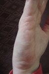 DSCF0510.jpg