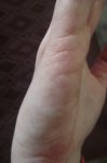 DSCF0511.jpg