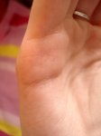 DSC09832.JPG