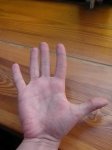 DSCN8787.JPG