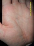 SAM_0789.JPG