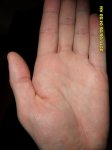 SAM_0790.JPG