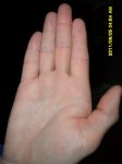 SAM_0794.JPG