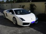 my white baby.jpg