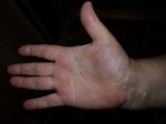 БЕНДЕРЫ 2011 004.JPG
