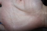 IMG_2391.JPG