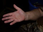БЕНДЕРЫ 2011 002.JPG
