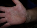 БЕНДЕРЫ 2011 003.JPG