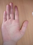 P1000450.JPG