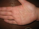 IMG_2808.jpg