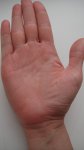 DSC01856.JPG
