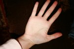 IMG_8732.JPG