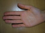 DSCF2021.JPG