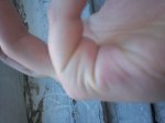 100_2051.JPG