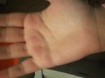 100_2082.JPG