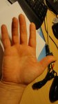 DSC01063.jpg