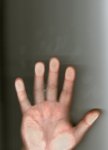 img003.jpg