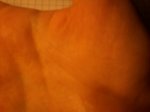 100_2277.JPG