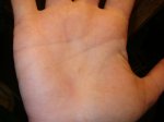 DSC09908.JPG