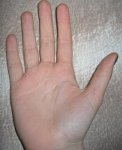 IMG_5373.jpg