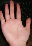 IMG_9500.JPG