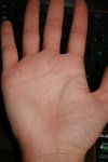 IMG_9505.JPG