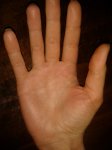 2012-03-22 17.35.12.jpg