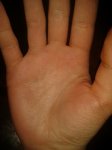 2012-03-22 17.10.26.jpg