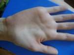 DSC03330.JPG