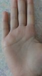 DSC07087.JPG