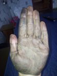 20170430_150901.jpg