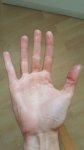 20170504_124337_500x889.jpg